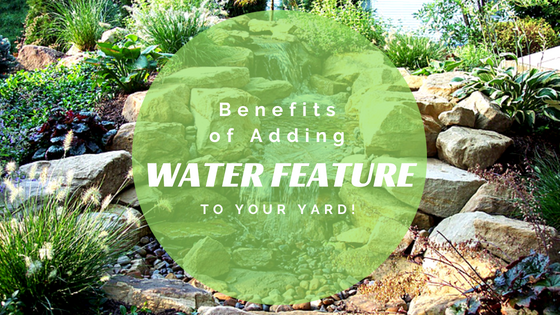 Benefits of Adding a Water Feature to your Yard!